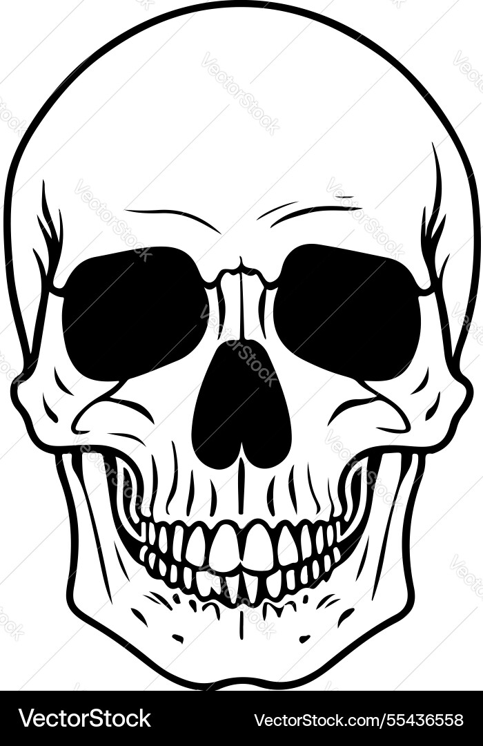 A skull design element for poster card banner sign Vector Image