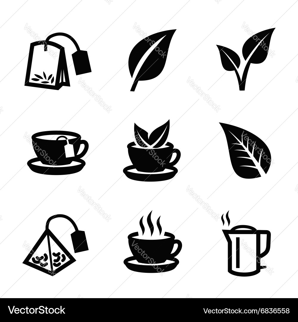 Tea Leaf Icon - Botanical Vector Image