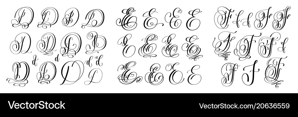 Elegant Script Letters - D, E, F vector image