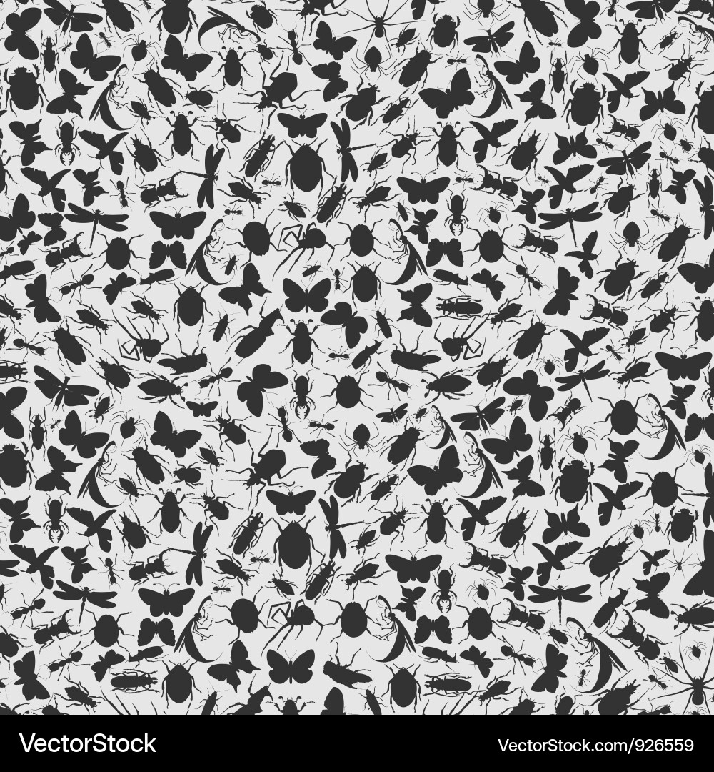 Insect Background Pattern Vector Image