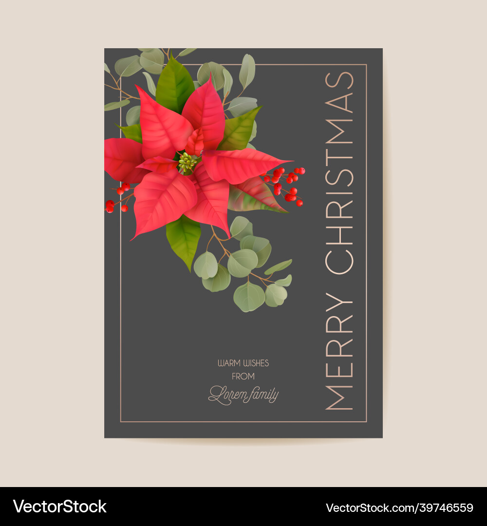 Realistic poinsettia 3d flowers winter card merry Realistic poinsettia 3d flowers winter card merry vector image