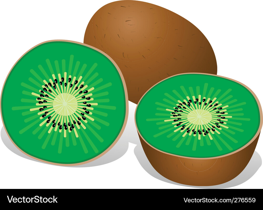 Ripe Kiwi Obst Nahaufnahme Vektorbild
