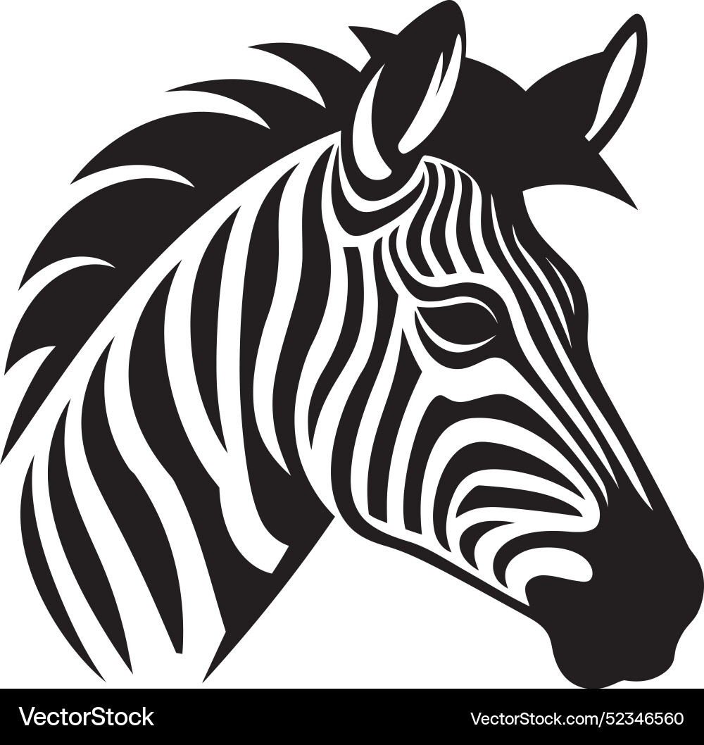 Abstract splendor zebra sketchdynamic details Abstract splendor zebra sketchdynamic details vector image