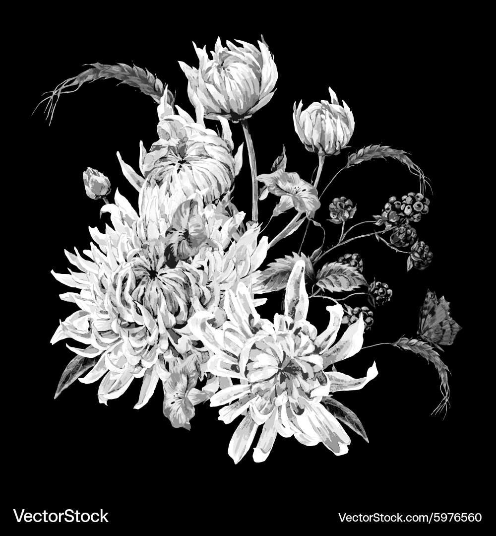 Monochrome vintage floral card with chrysanthemums Vector Image