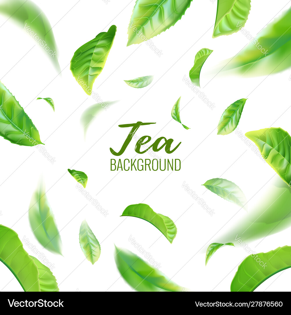 Realistic green tea leaves background Realistic green tea leaves background vector image