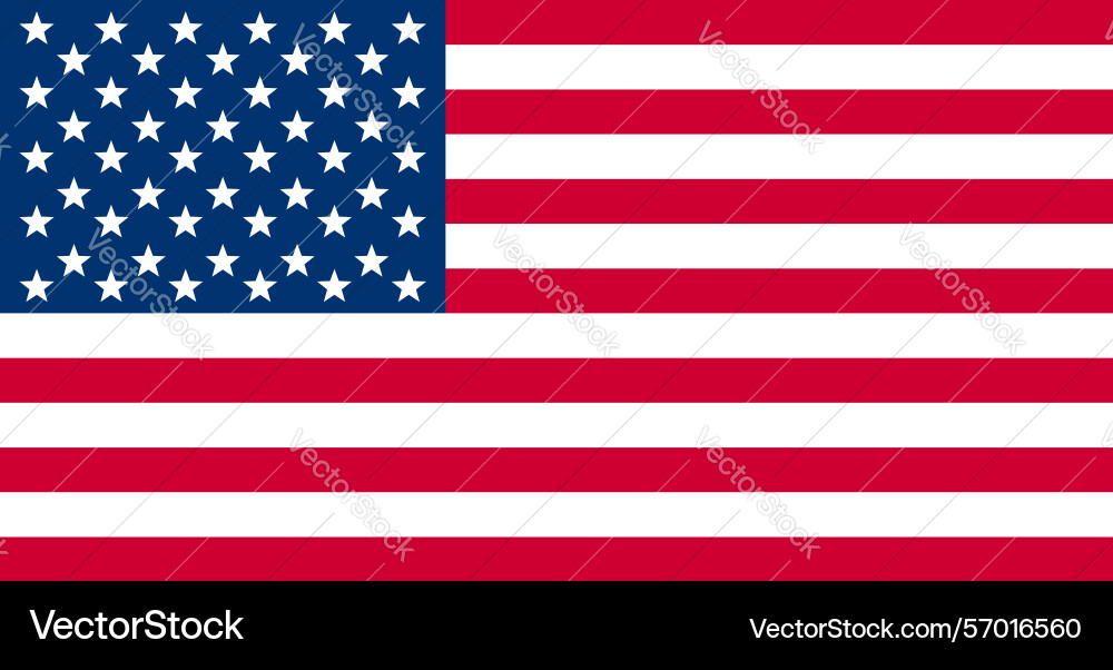 Usa flag american united states of america Usa flag american united states of america vector image