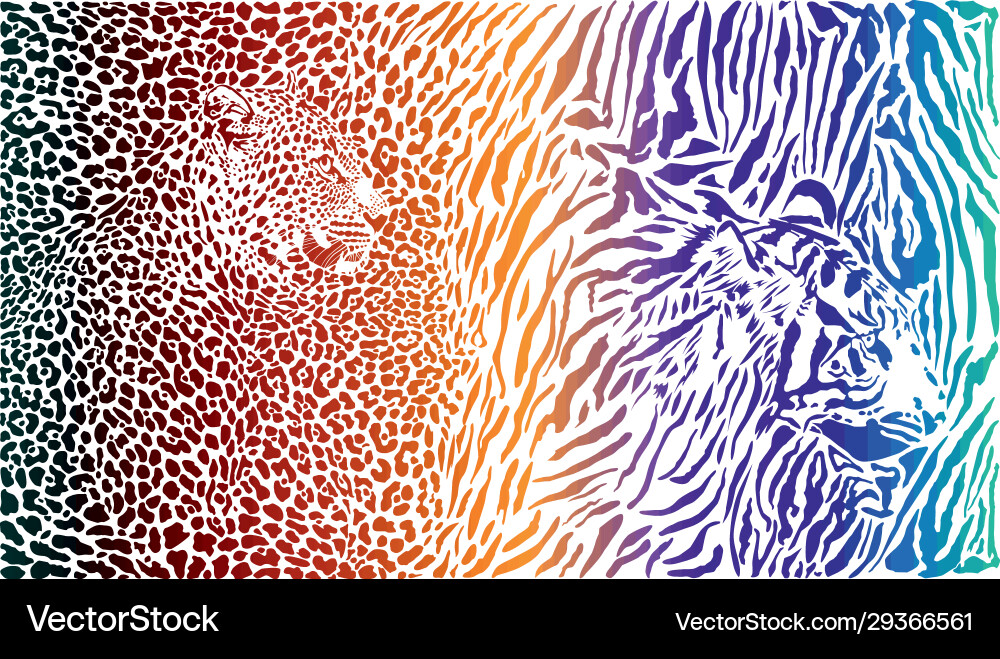 Leopard and tiger color pattern background vector image