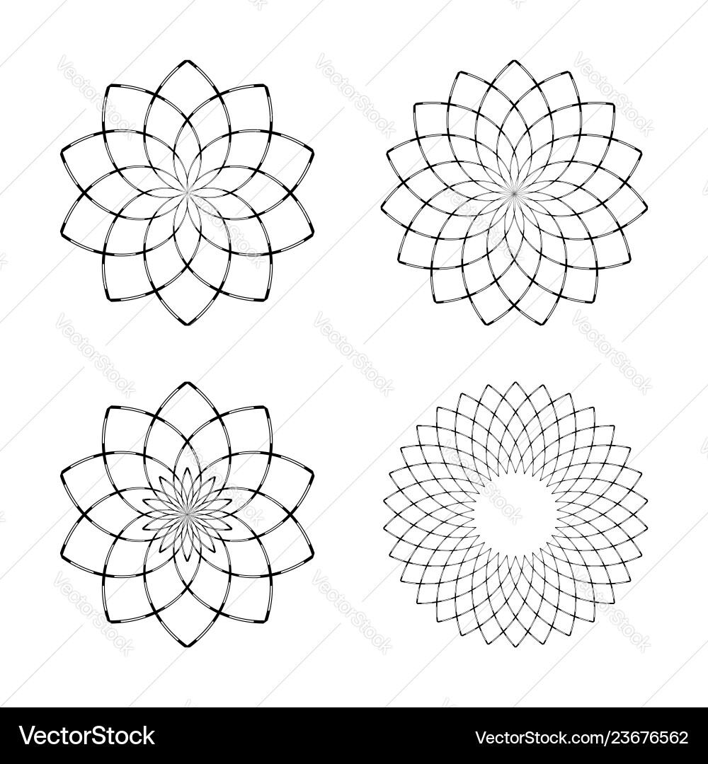 Geometric Circle Patterns vector image