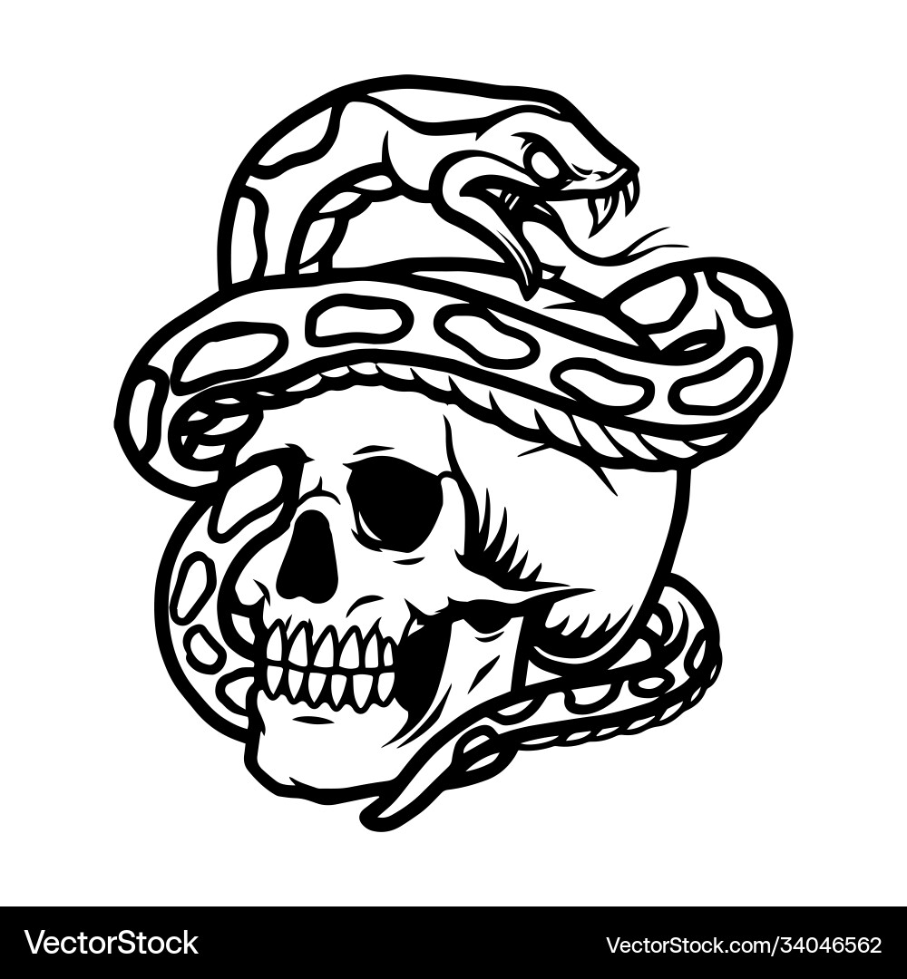 Snake entwined with skull template Vector Image