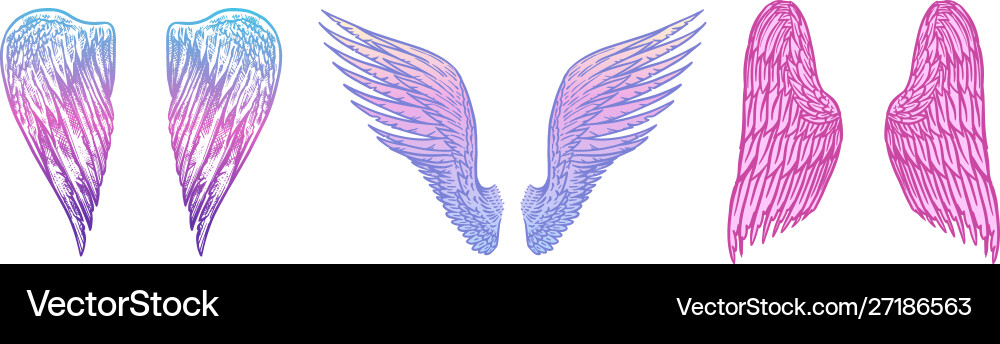 Set angel wings in vintage style template Set angel wings in vintage style template vector image