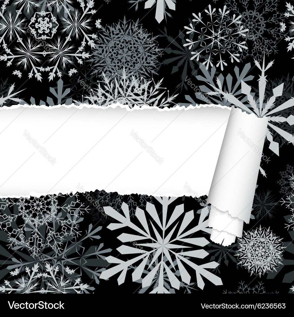 Snowflakes pattern with torn stripe vector image