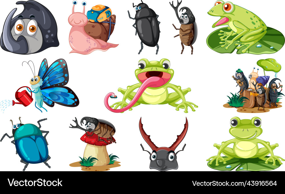 Set of various insects and amphibians cartoon vector image