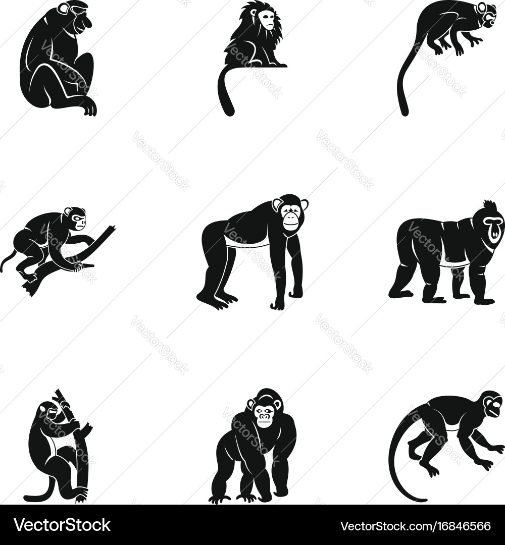 Different monkey icon set simple style vector image