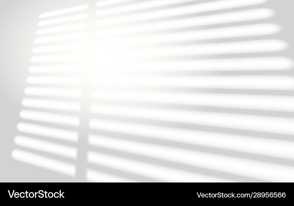 Realistic window light and shadow overlay vector image