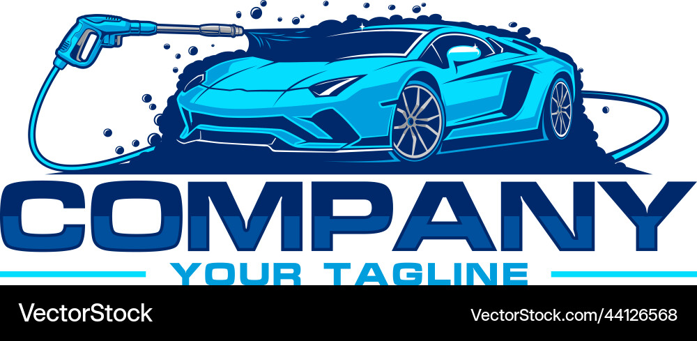 Car Wash & Detailing Logo vector image