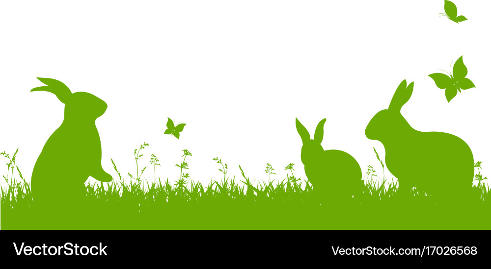 Spring Meadow Border Vector Image