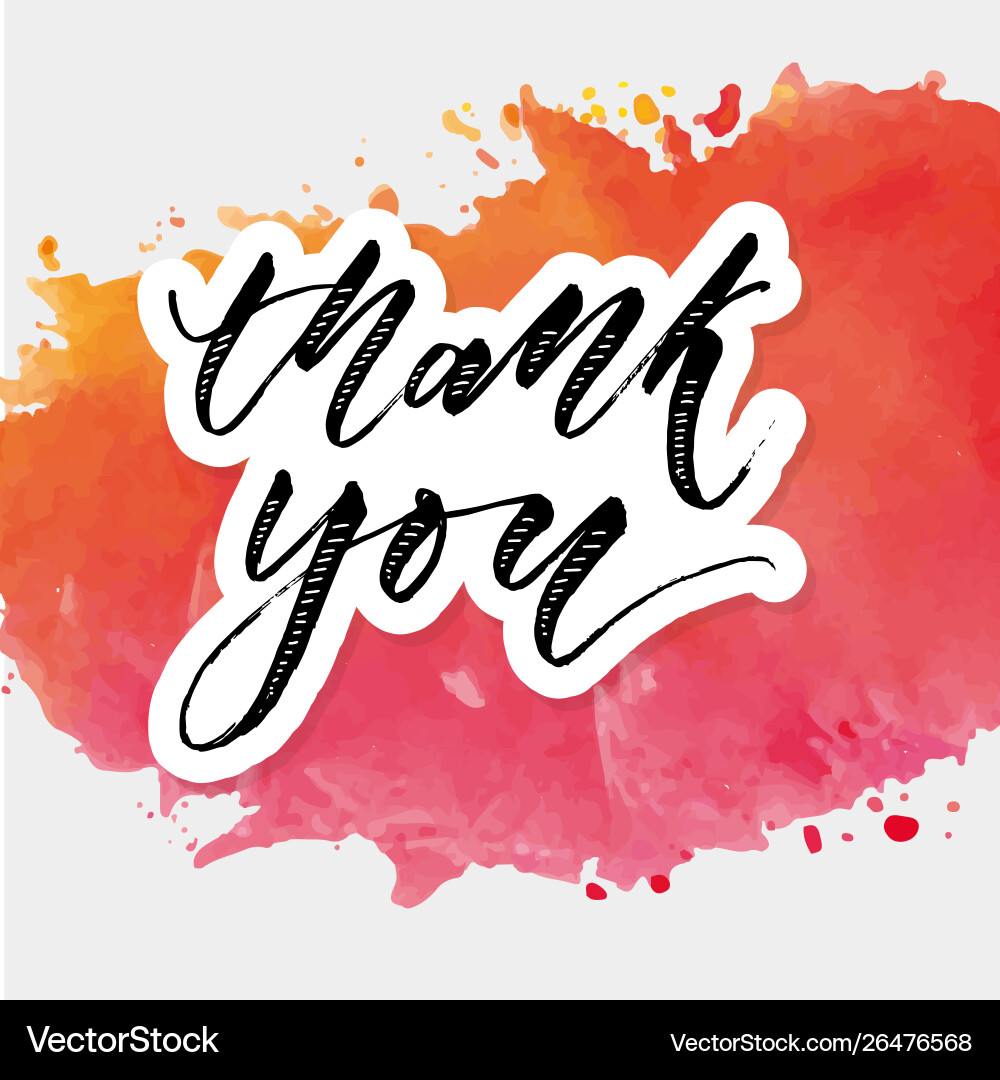 Thank you watercolor lettering calligraphy Thank you watercolor lettering calligraphy Vector Image