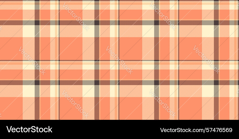 Pastel peach and cream plaid pattern perfect Vector Image