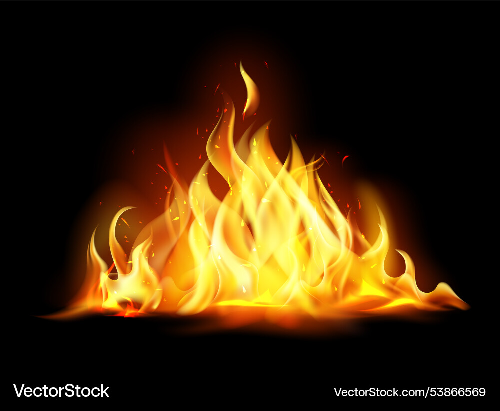 Realistic fire flames and effects background Vector Image