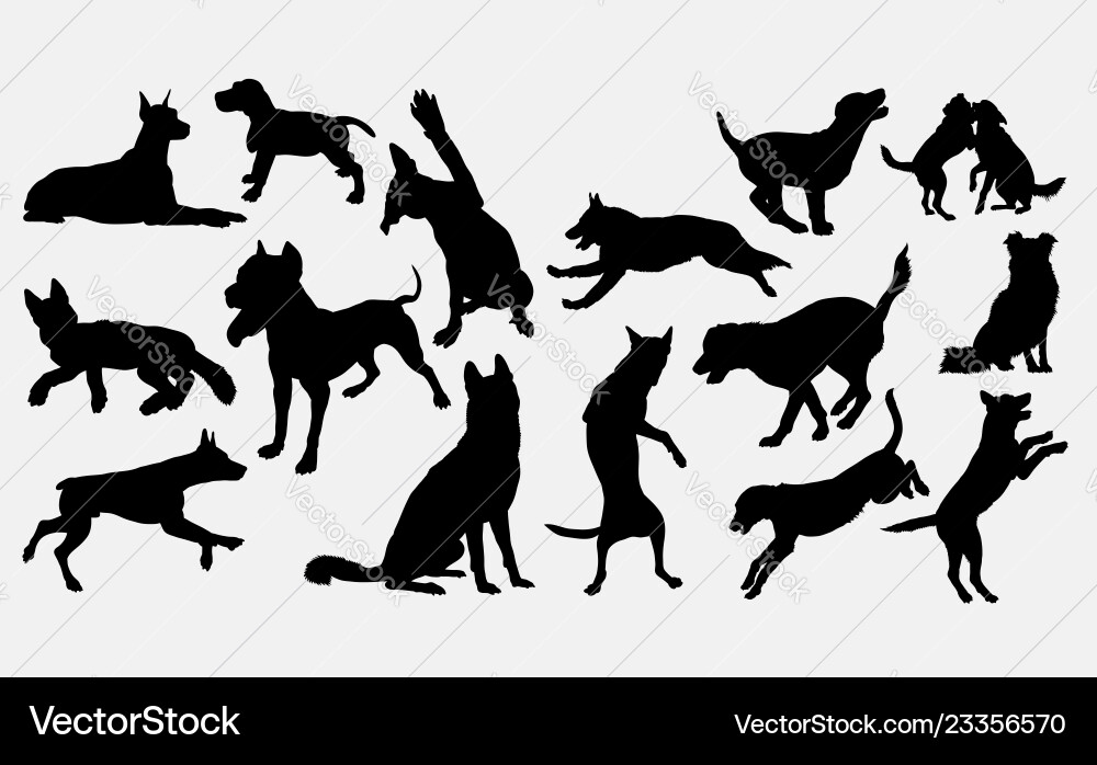 Dog pet mammal animal silhouette Dog pet mammal animal silhouette vector image