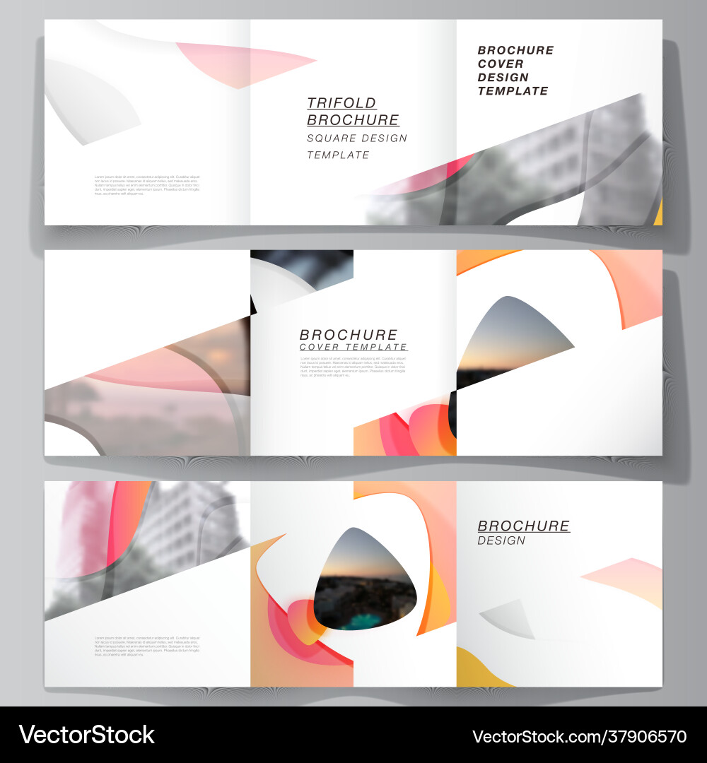 Minimal editable layout square Minimal editable layout square vector image