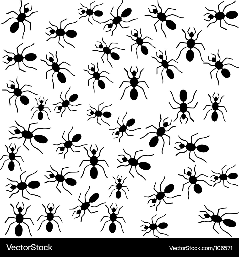 Ant Crawl Pattern vector image