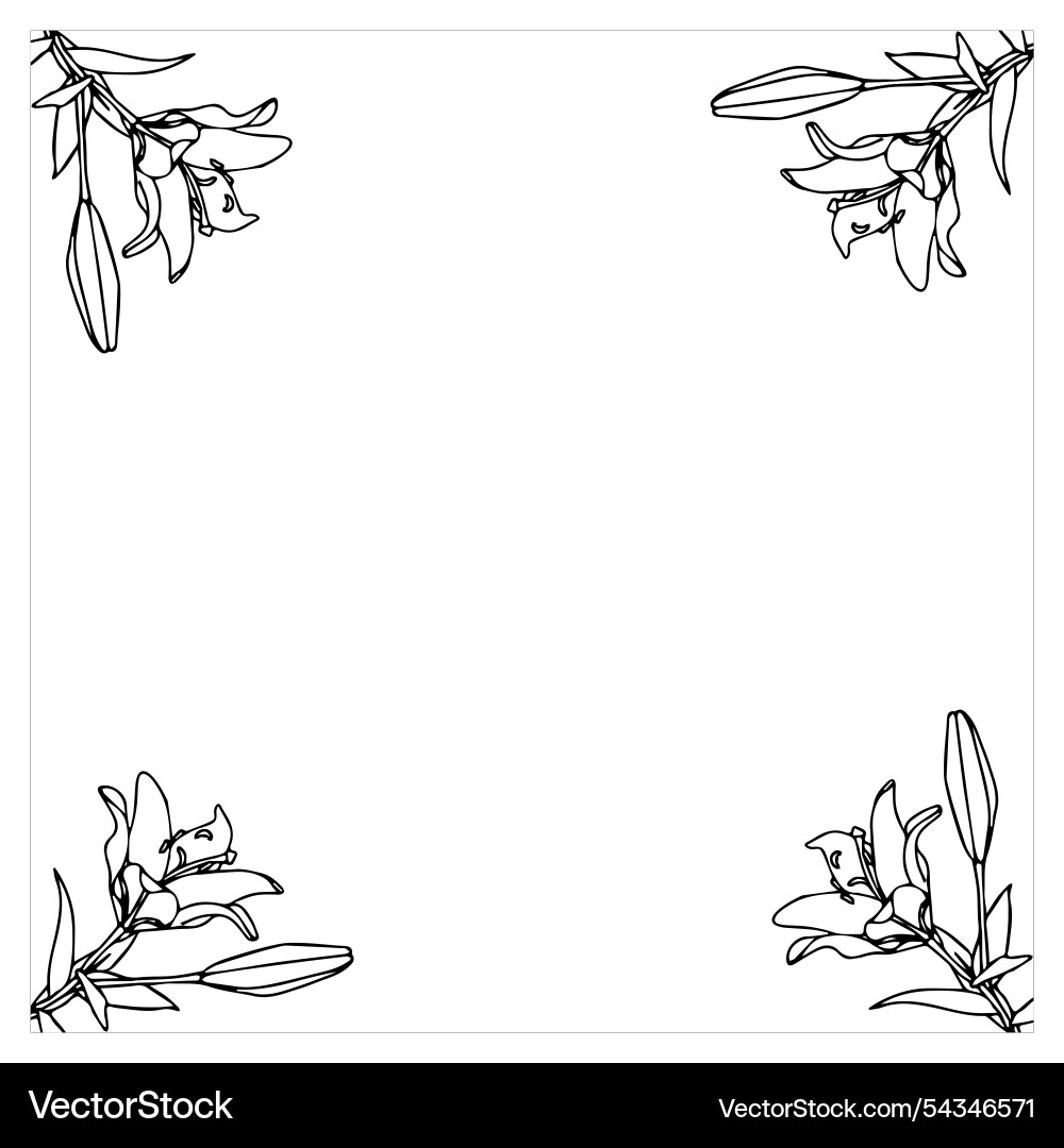 Frame with lilies in doodle style element Frame with lilies in doodle style element Vector Image
