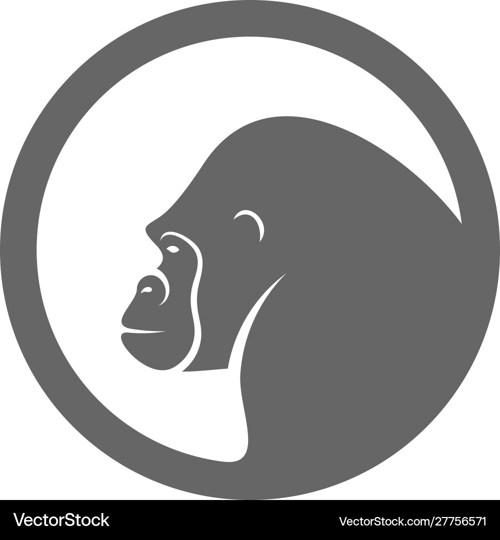 Gorilla Logo Design King kong Template Gorilla Logo Design King kong Template vektorbild