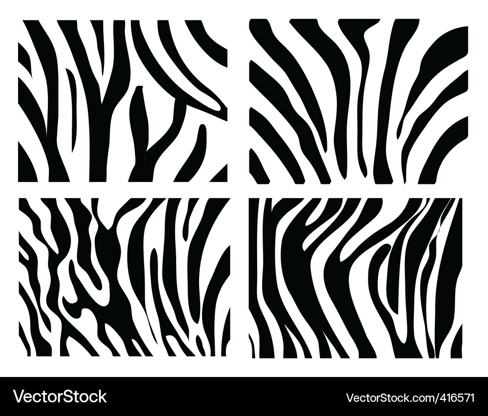 Zebra pattern Vector Image