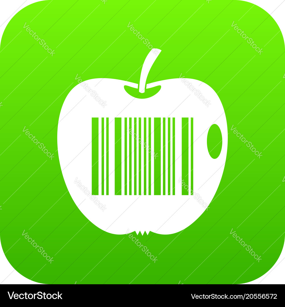 Code to represent product identification icon vector image