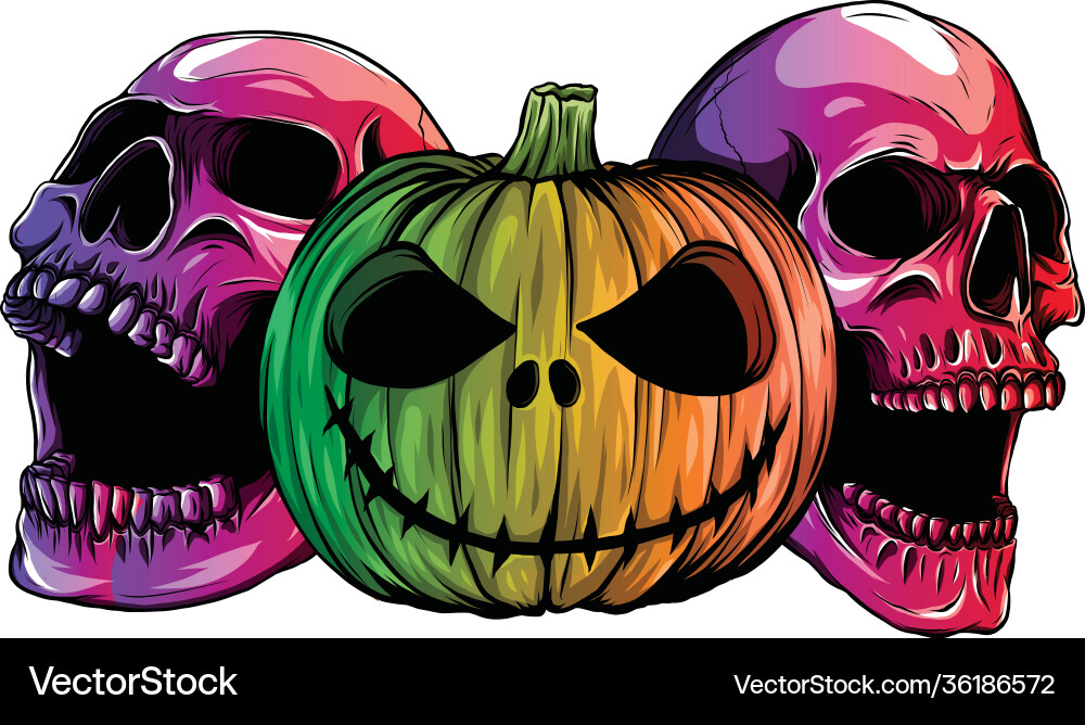 Spooky Skull Halloween vector image