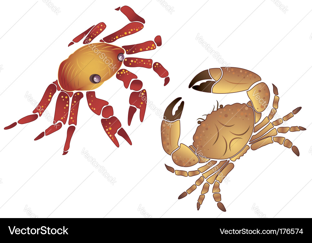Crab Element Vector Image