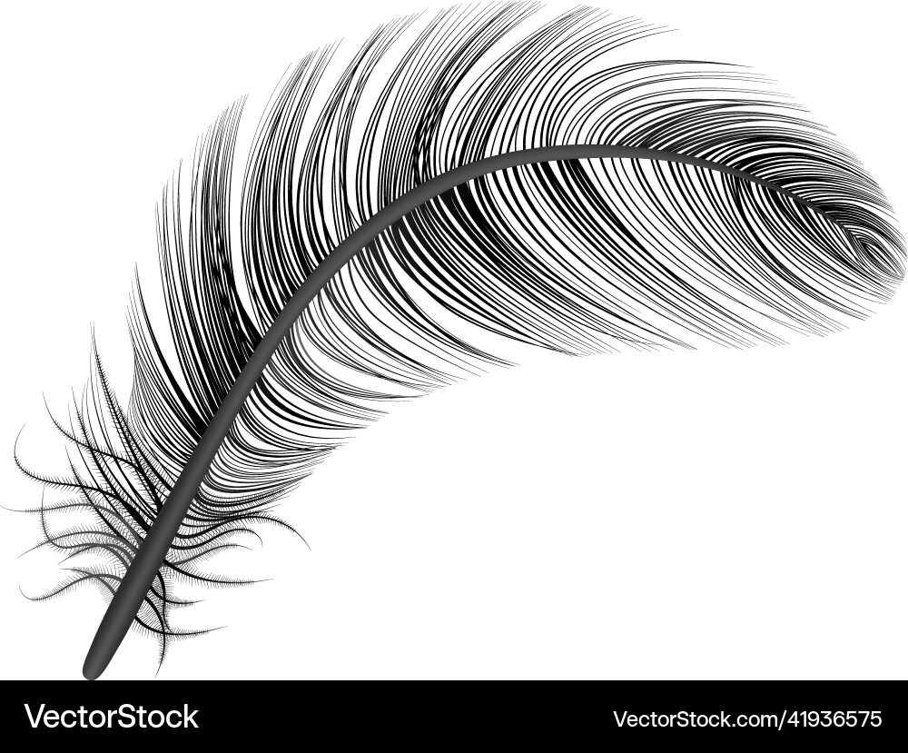 Feather black realistic composition Royalty Free Vector