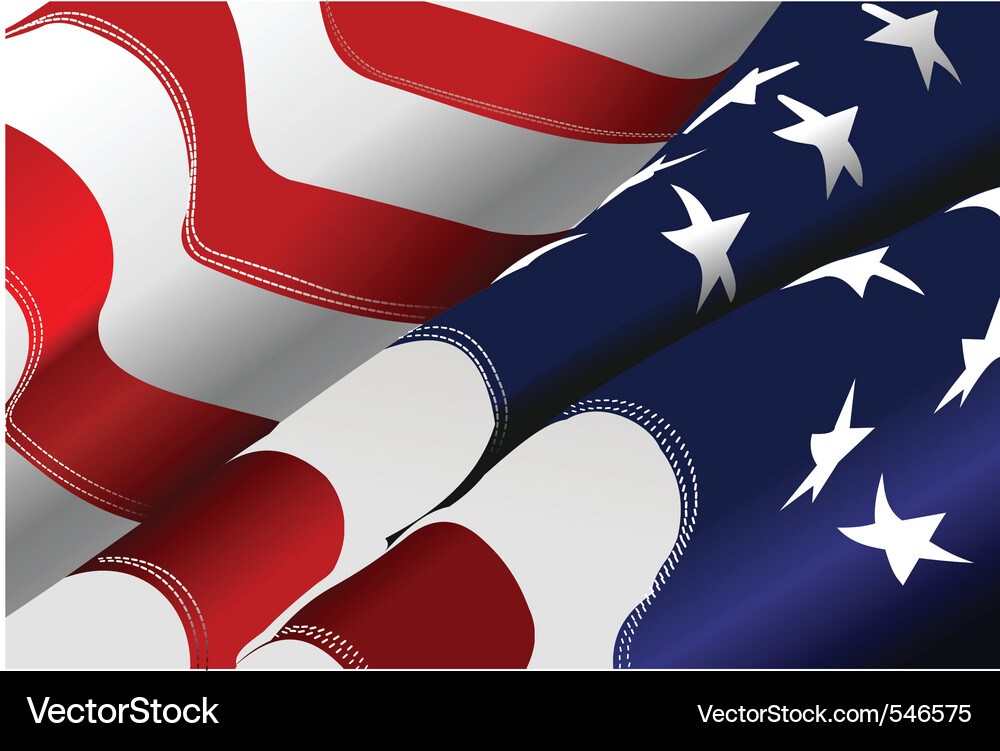 Flagge der USA Vektorbild