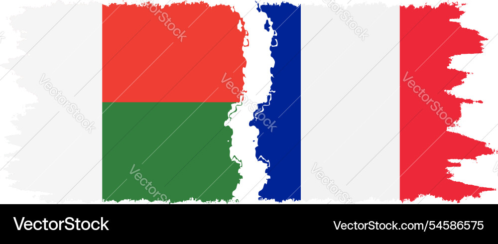 France and madagascar grunge flags connection France and madagascar grunge flags connection vector image