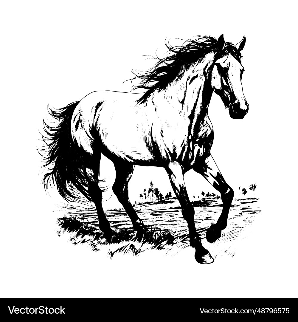 Horse black and white art Royalty Free Vector Image