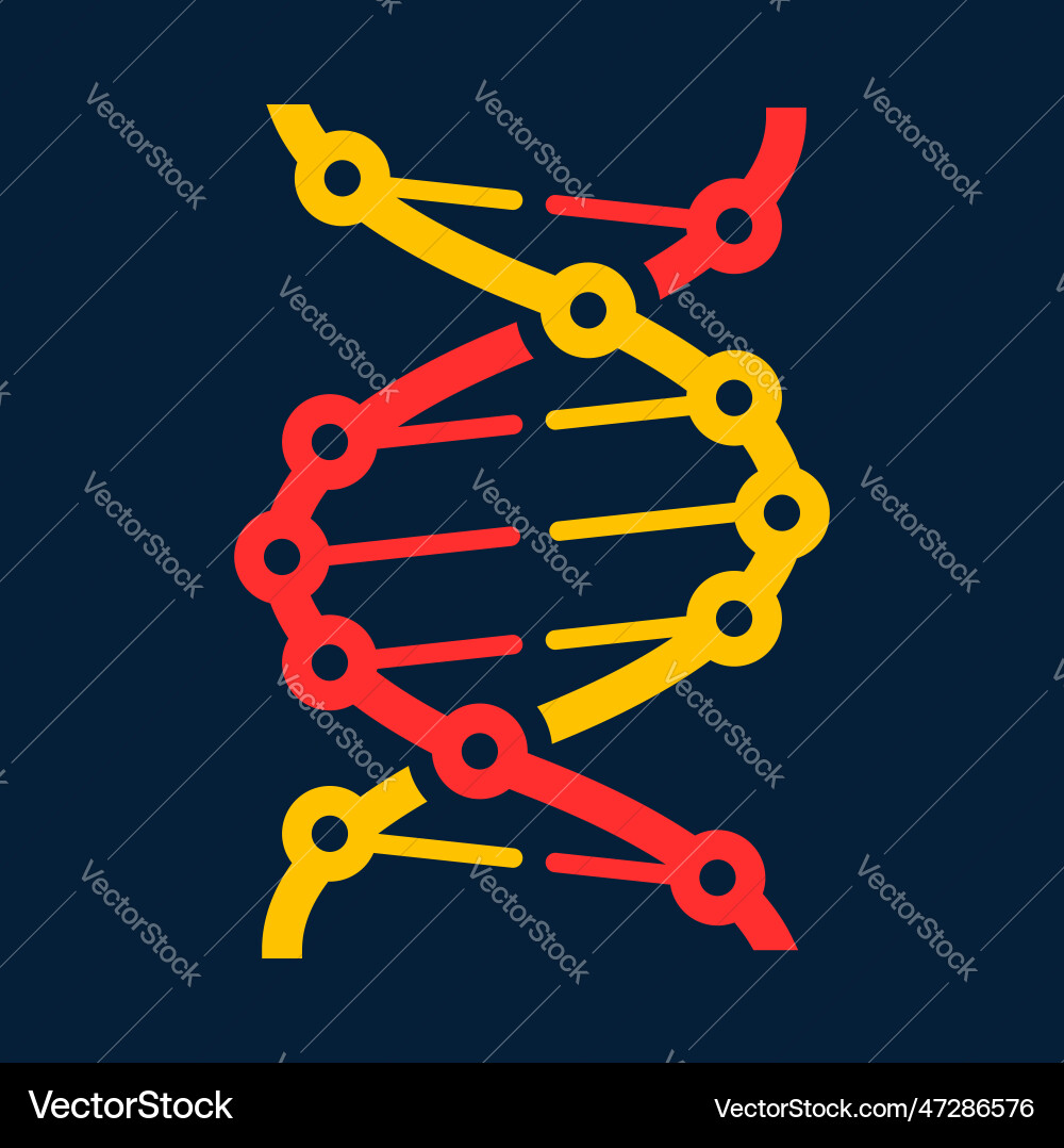 Helix structure genetic code twisted dna molecule vector image