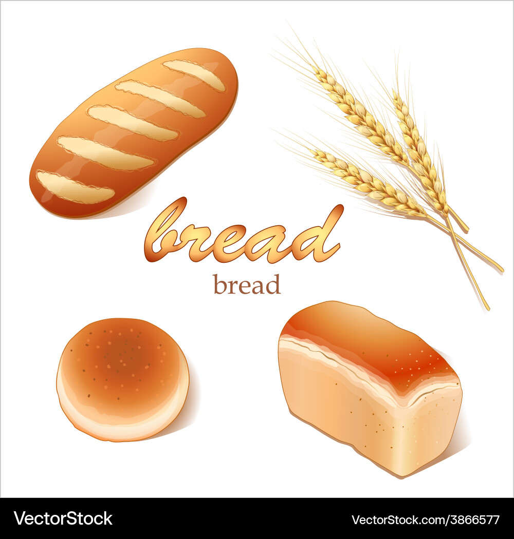 Set breads bakery products Royalty Free Vector Image