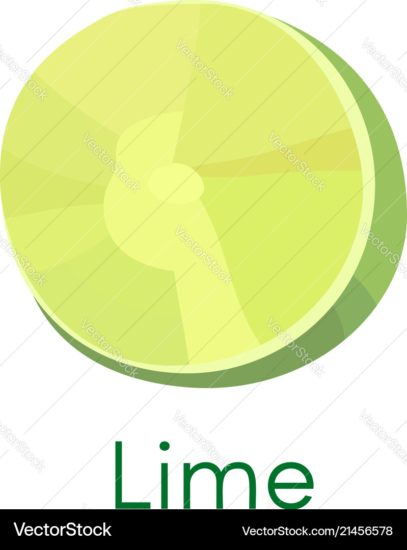 Citrus lemon lime green fruit slices segment Vector Image
