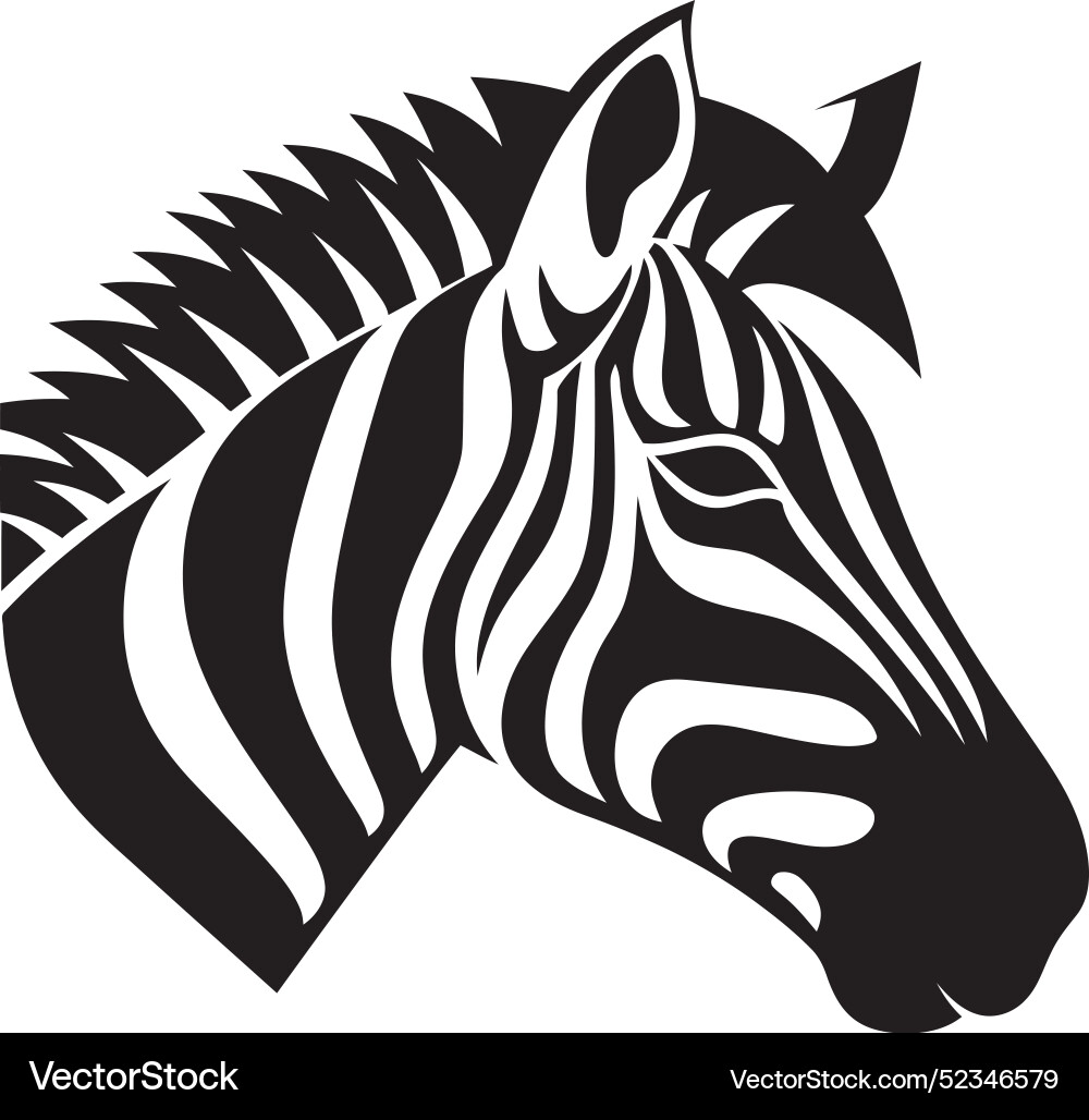 Abstract patterns zebra creationintriguing Abstract patterns zebra creationintriguing vector image