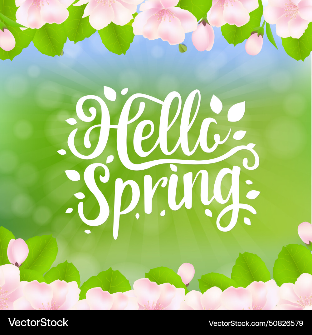 Hello spring text isolated white background Vector Image