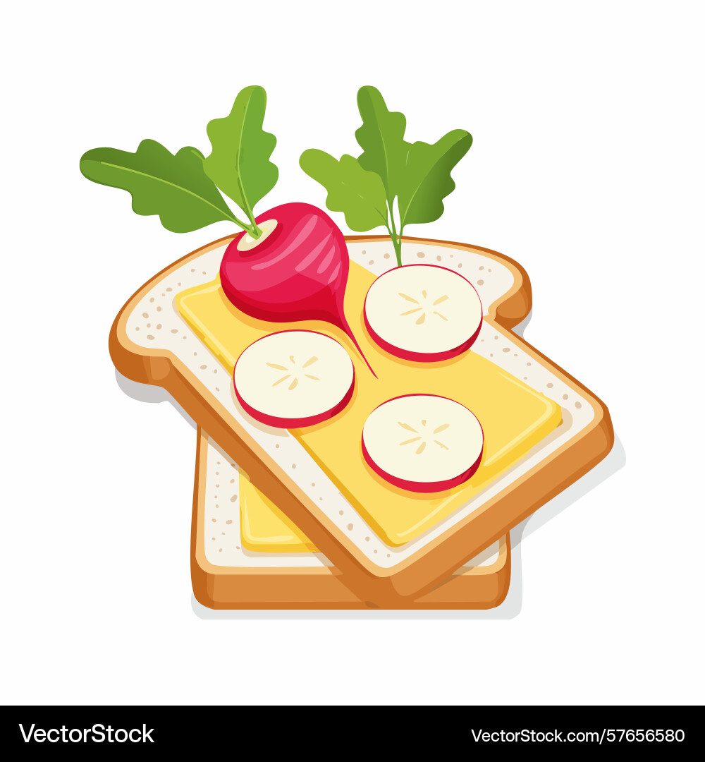 Buttered toast with radish and slices Vector Image