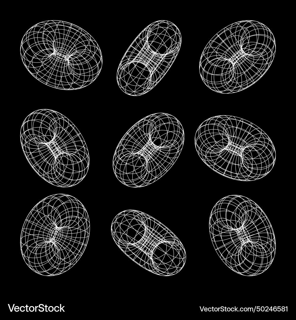 Wireframe shapes lined torus perspective mesh Wireframe shapes lined torus perspective mesh vector image