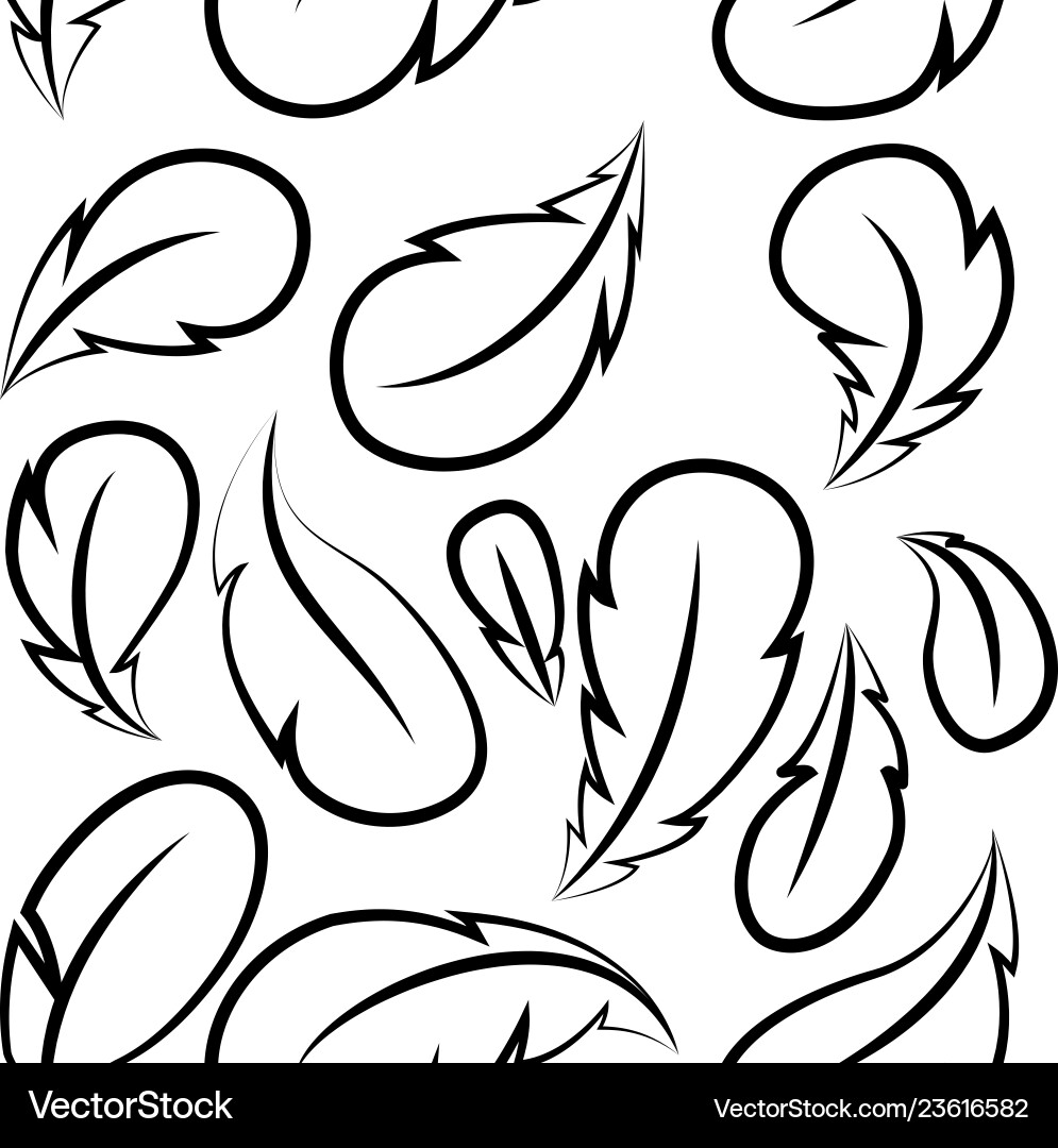 Elegant Feather Seamless Pattern vector image