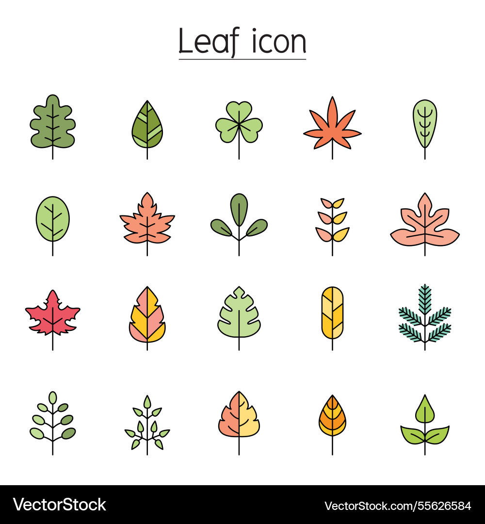 Leaf icon set in color line style Leaf icon set in color line style vector image