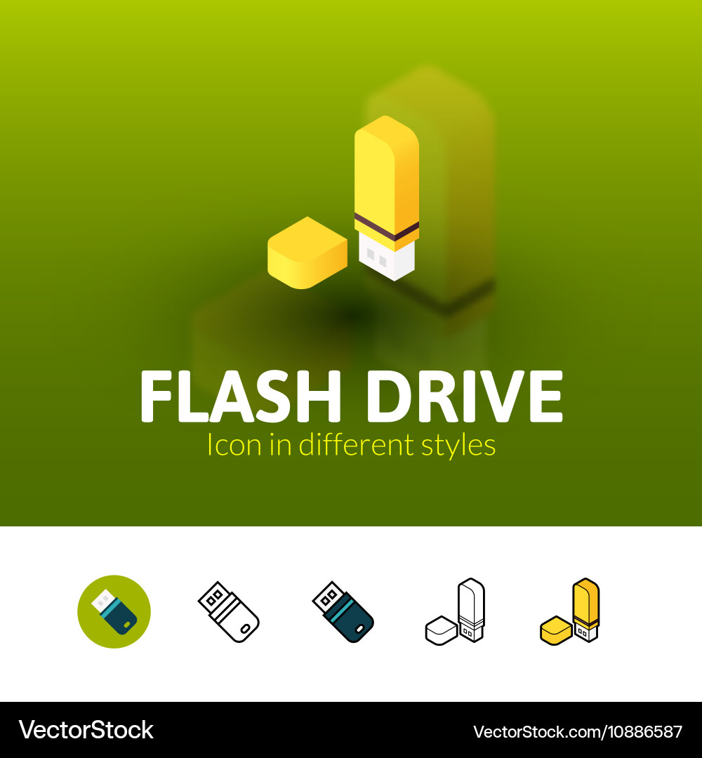 Flash drive icon in different style Vector Image
