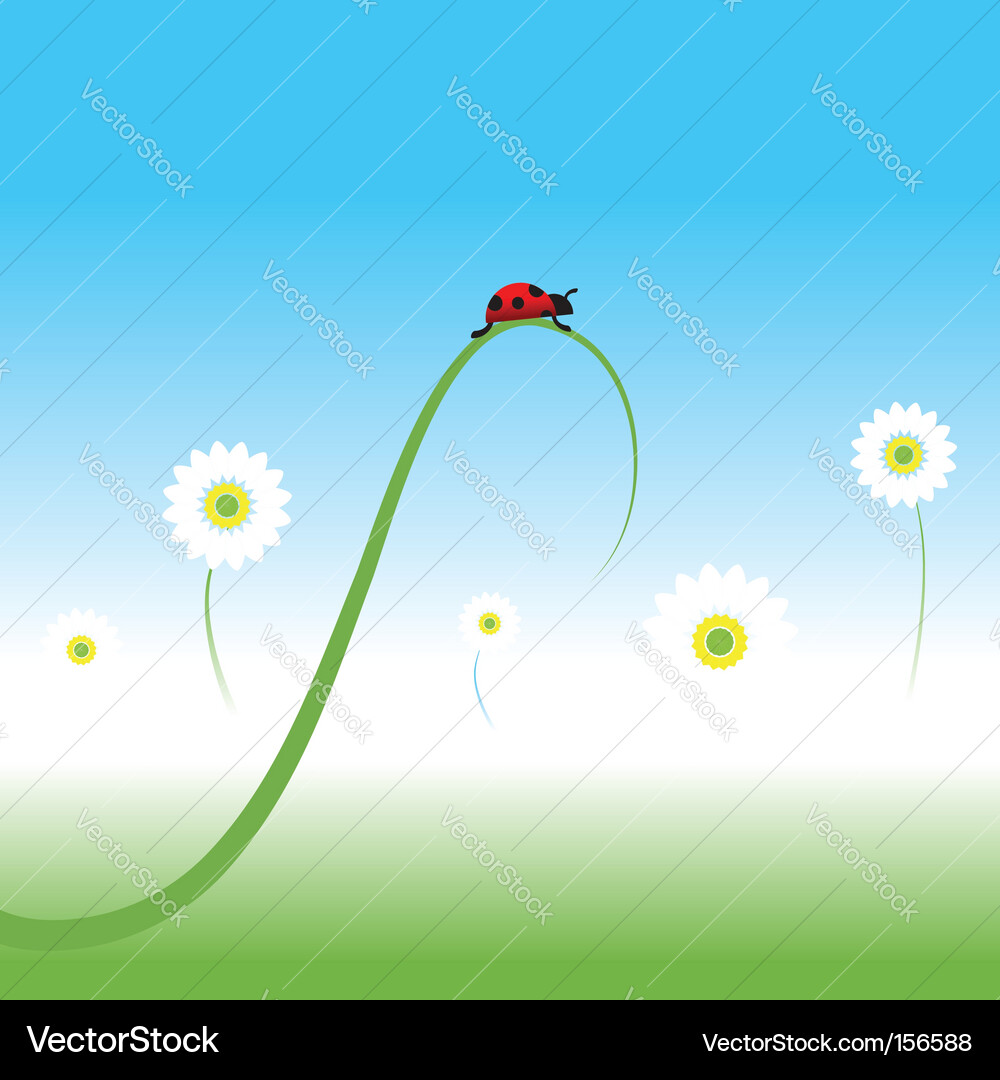 Ladybug spring background Vector Image
