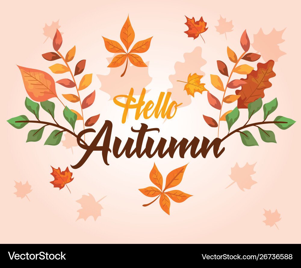 Rustic leaves branches plants design Royalty Free Vector