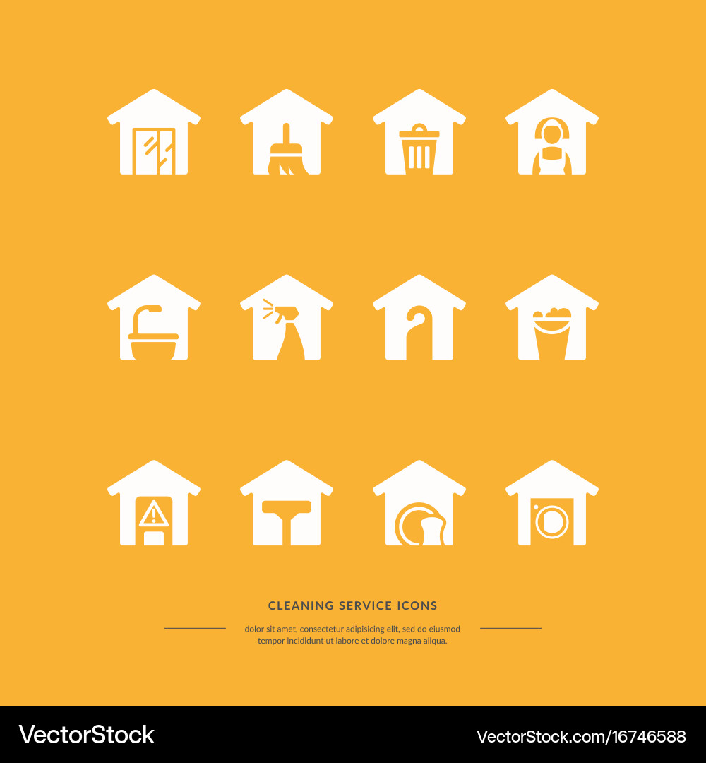 Set of icons for a cleaning service Vector Image