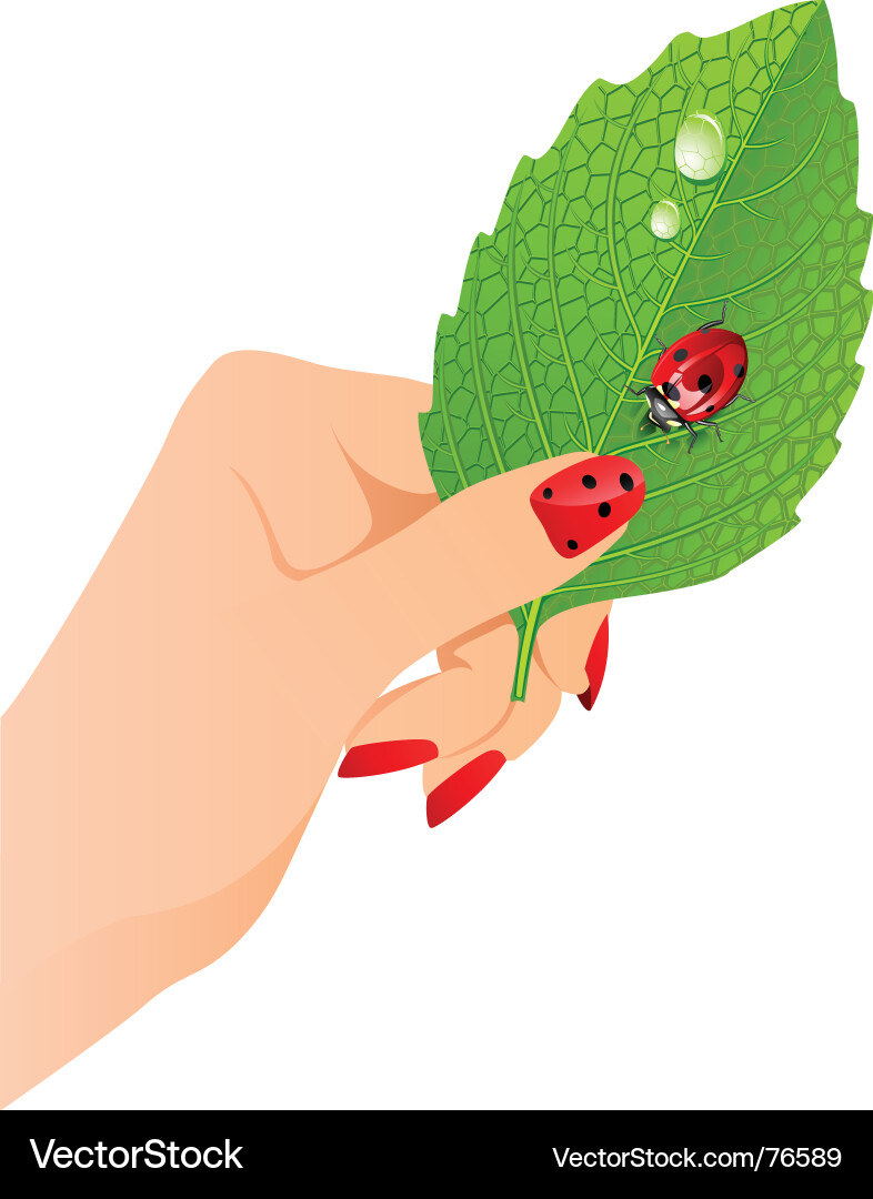 Female Hand with Ladybug and Leaf Vector Image